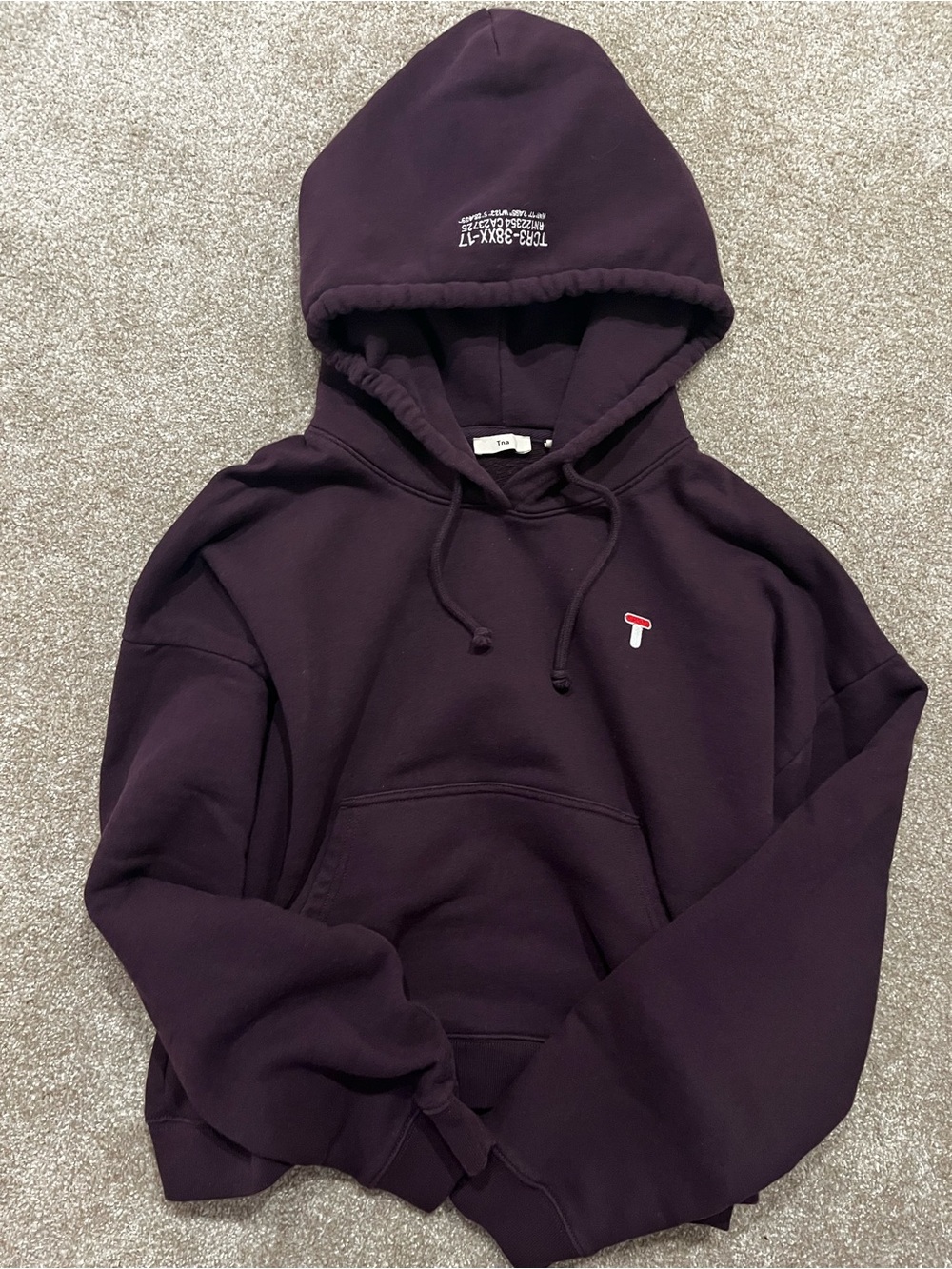 Aritzia TNA Hoodie